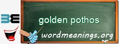 WordMeaning blackboard for golden pothos